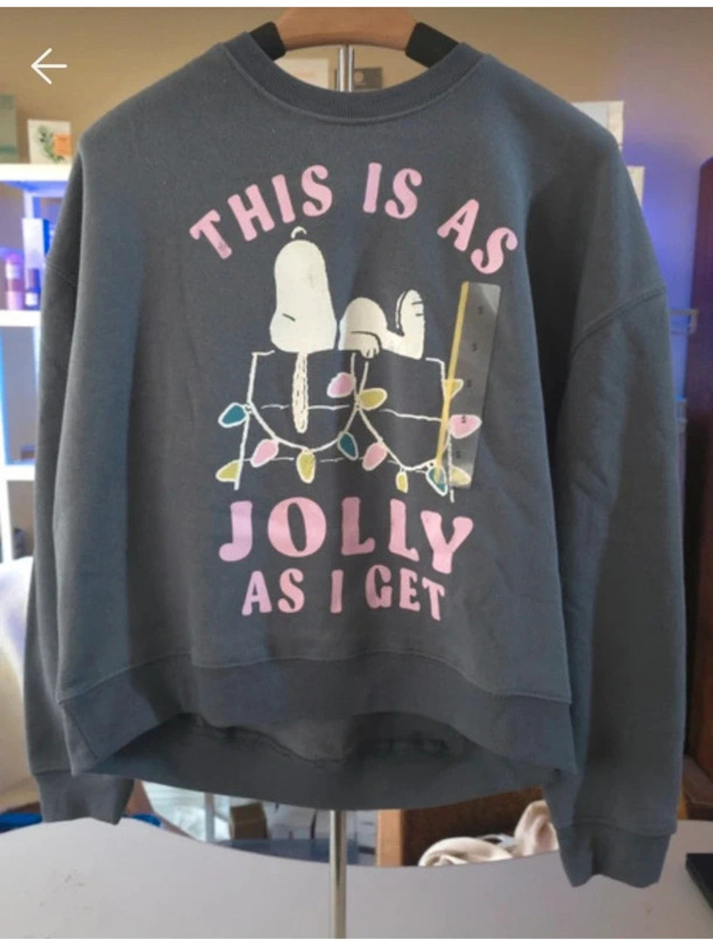 Womens Snoopy Sweatshirt